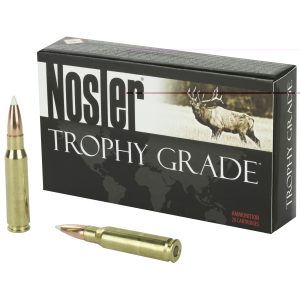 Nosler .308 Win 165gr Ab 20CT