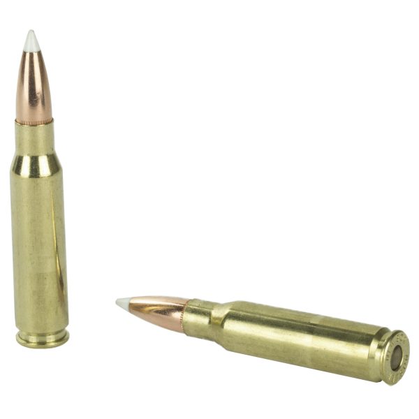 Nosler .308 Win 165gr Ab 20CT - Image 4