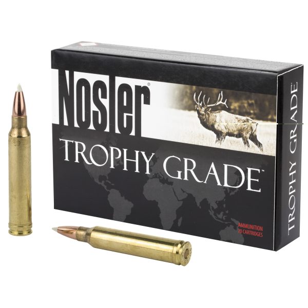Nosler .300 Win 180gr Ab 20CT