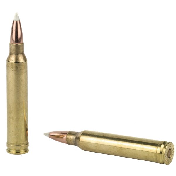 Nosler .300 Win 180gr Ab 20CT - Image 4