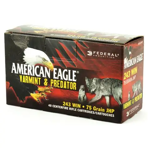 Federal American Eagle .243 Ammunition