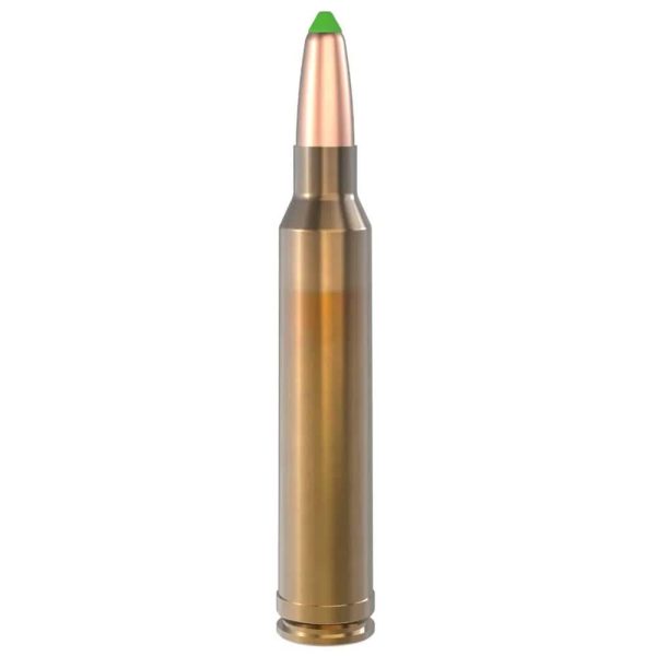 Lapua .300 Win Mag 170gr Naturalis Solid 10ct