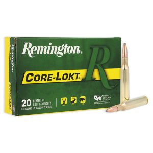 Remington .270 Win 100 gr PSP 20ct