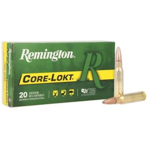 Remington Core-Lokt .308 Win 180 gr PSP 20ct