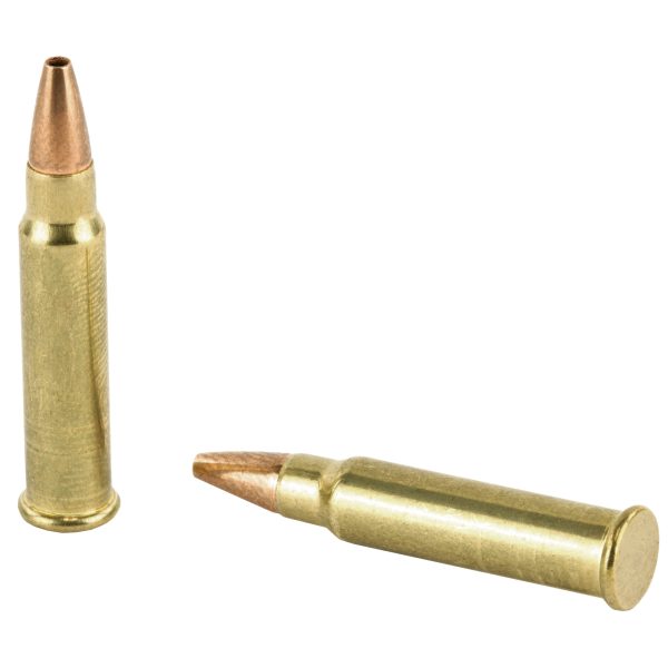 CCI .17hmr 17gr Tnt Hp 50ct - Image 4