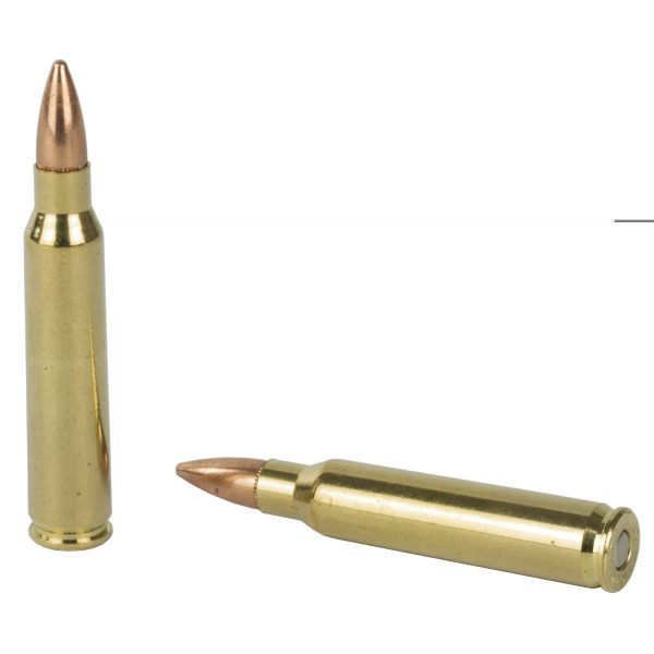 Fiocchi .223rem 62gr Fmjbt 50ct - Image 3