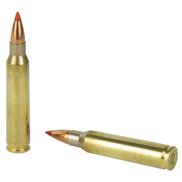 Fiocchi .223rem 50gr Vmax 50ct - Image 3