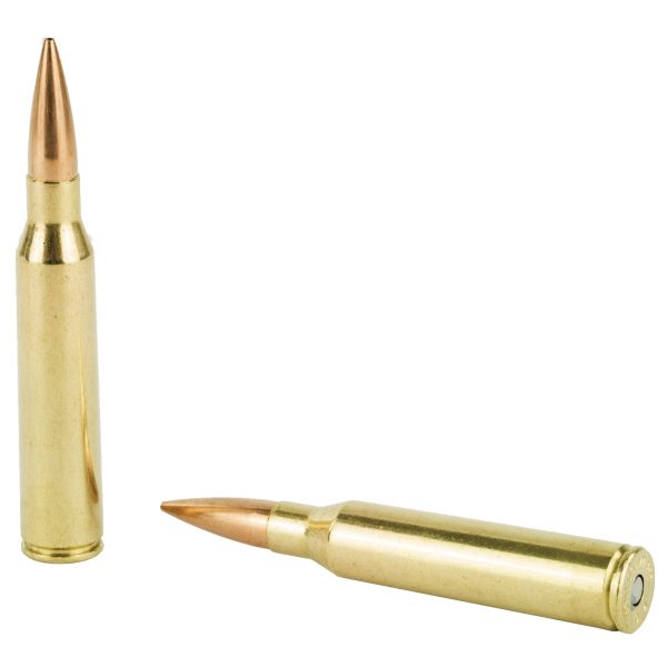 Federal Gold Medal .338lapua 250gr Bthp 20ct - Image 2