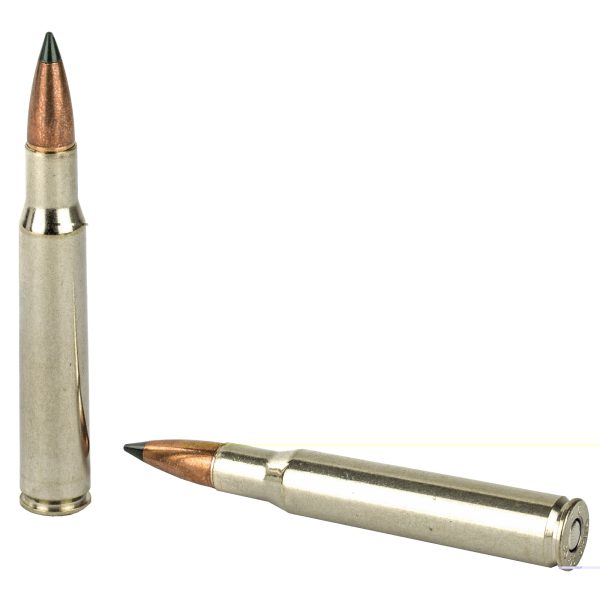 Federal Premium .30-06 Springfield 165gr Trophy Copper 20ct - Image 4