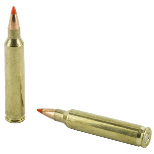 Federal V&P .204rug 32gr Hornady V-max 20ct - Image 2