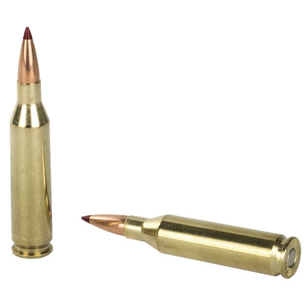 Hornady Precision Hunter .243win 90gr Eld-x 20ct - Image 2