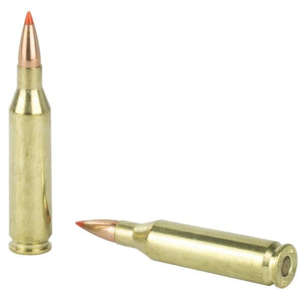 Hornady Custom Lite .243win 87gr Sst Lt 20ct - Image 4