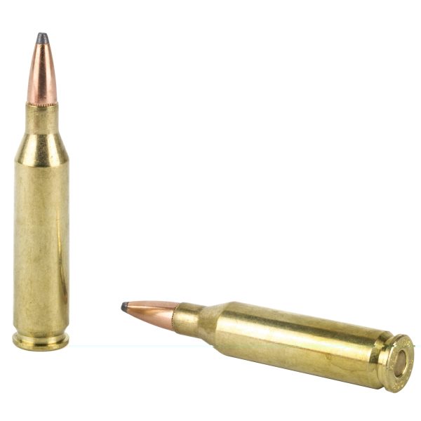 Hornady American Whitetail .243win 100gr Il Btsp 20ct - Image 2