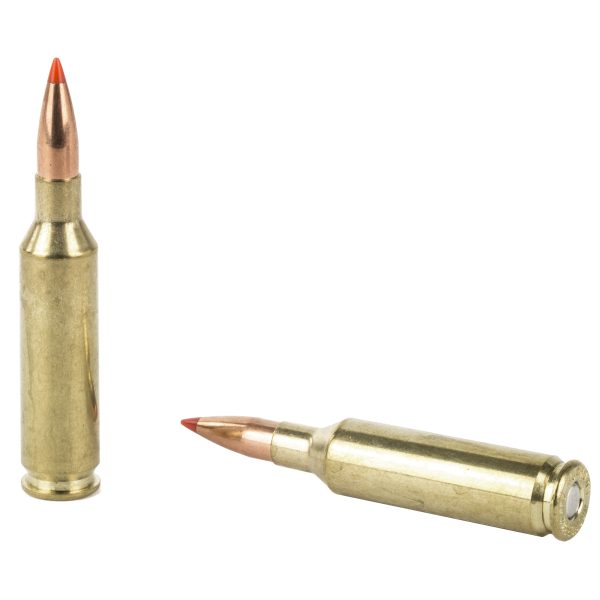 Hornady 6mm Creedmoor 87gr Vmax 20ct - Image 3