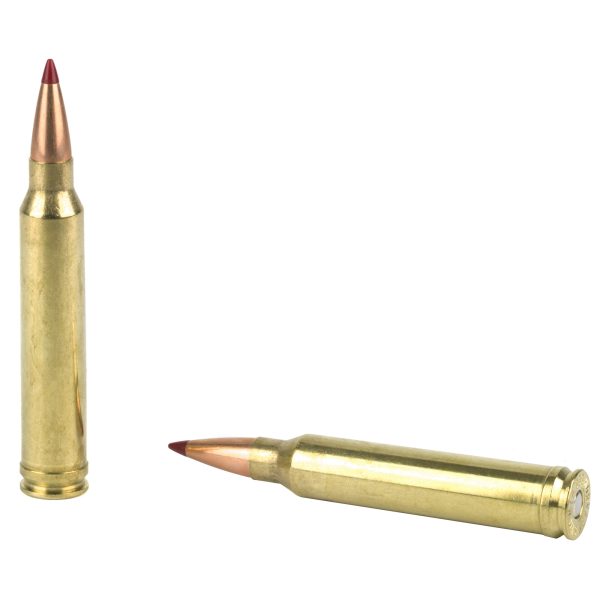 Hornady Precision Hunter .300win 200gr Eld-x 20ct - Image 2