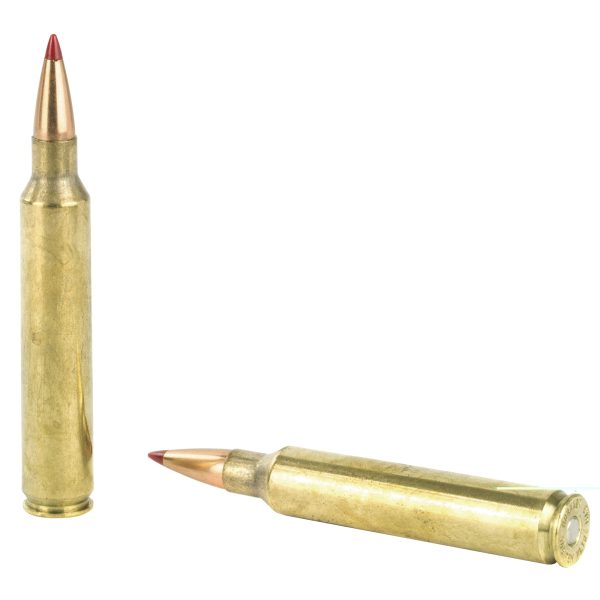 Hornady Precision Hunter .300rum 220gr Eld-x 20ct - Image 4