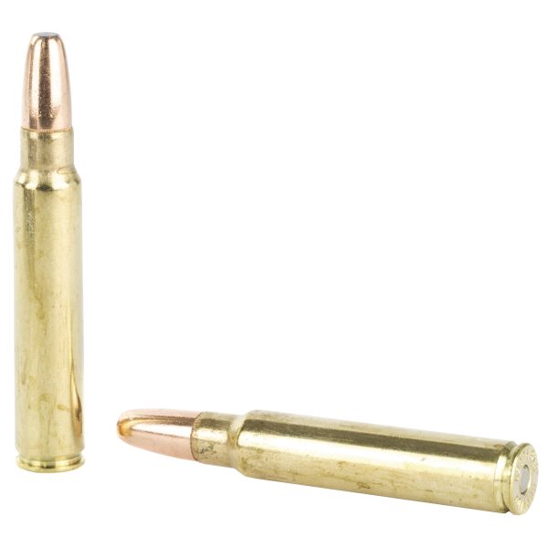 Hornady Dangerous Game .375rug 300gr Dgx Bnd 20ct - Image 4