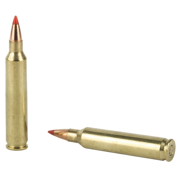 Hornady Superformance .204rug 40gr V-max 20ct - Image 3