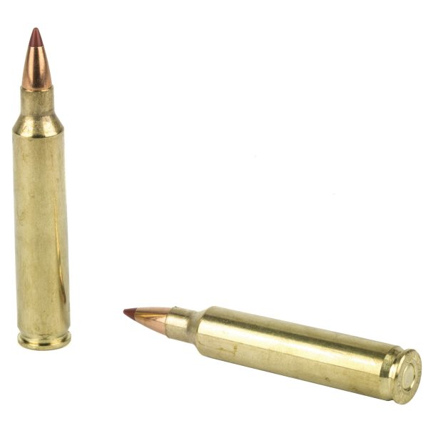 Hornady .204rug 24gr Ntx 20ct - Image 2