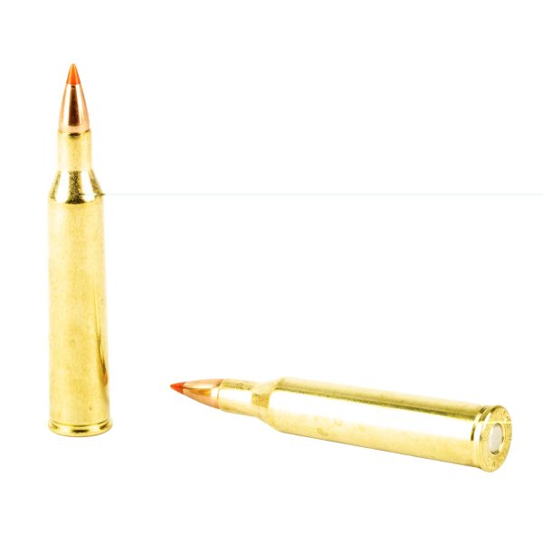 Hornady .220 Swift 55gr Vmax 20ct - Image 2