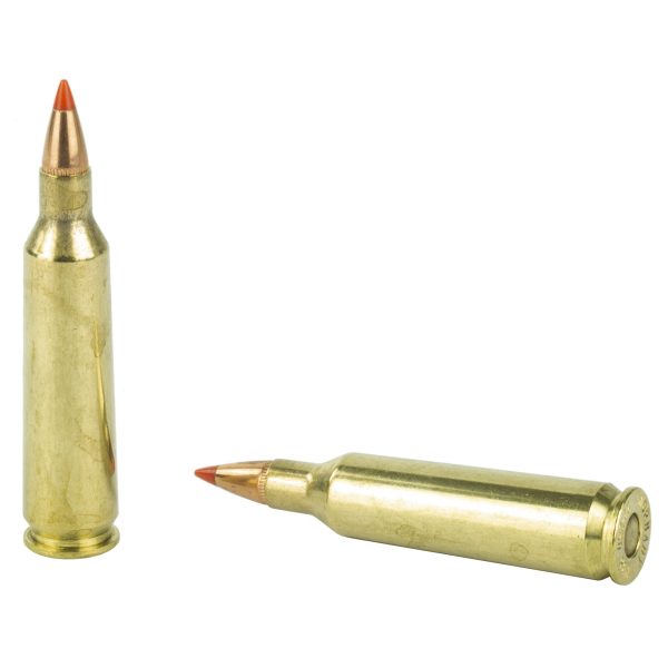 Hornady .22-250 50gr Vmax 20ct - Image 4
