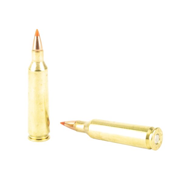 Hornady .22-250 55gr Vmax 20ct - Image 4