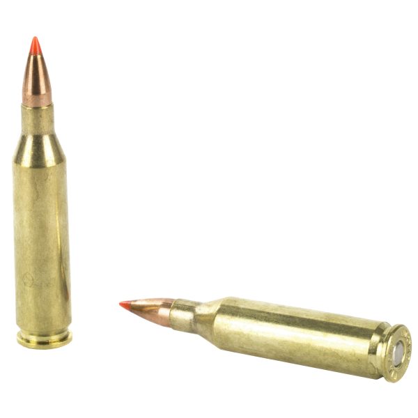 Hornady Superformance .243win 58gr Vmax 20ct - Image 4