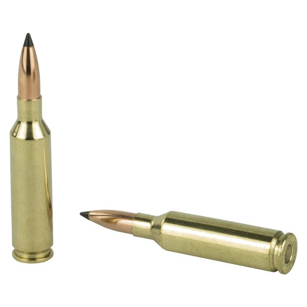 Nosler VG 6mm Creedmoor 70gr Fb Tip 20ct - Image 4