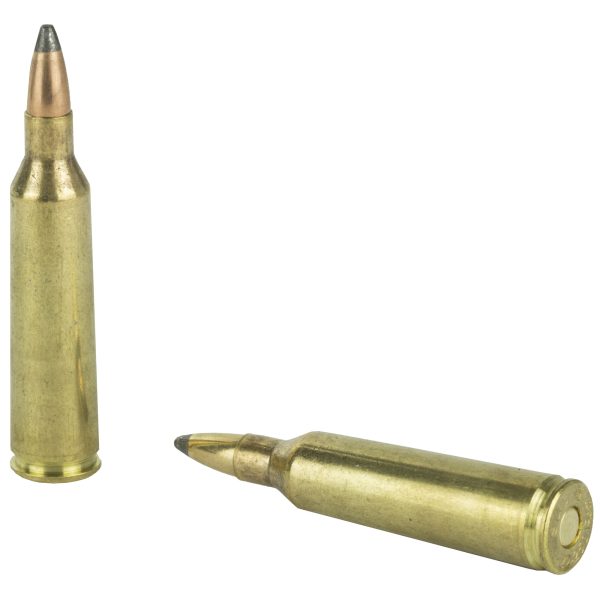 Sellier & Bellot .22-250 55gr Sp 20ct - Image 4