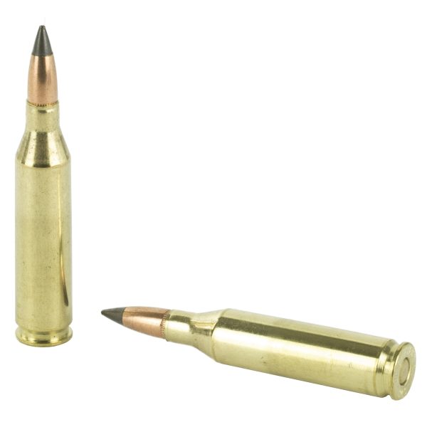 Win Deer Season 243win 95gr 20-200 - Image 2