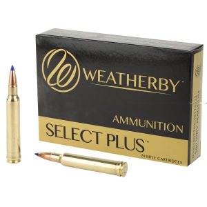 Wby Ammo 300wby 180gr Ttsx 20-200