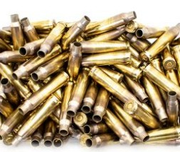 5.56 Primed ATS NEW Brass Cases July 4th Sale .19 Each