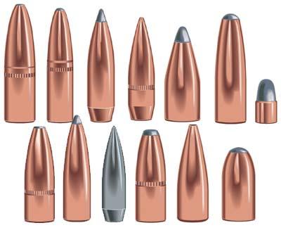 Speer Varminter Hollow Point Bullets .30 cal 110 gr JHP Bullets 100ct